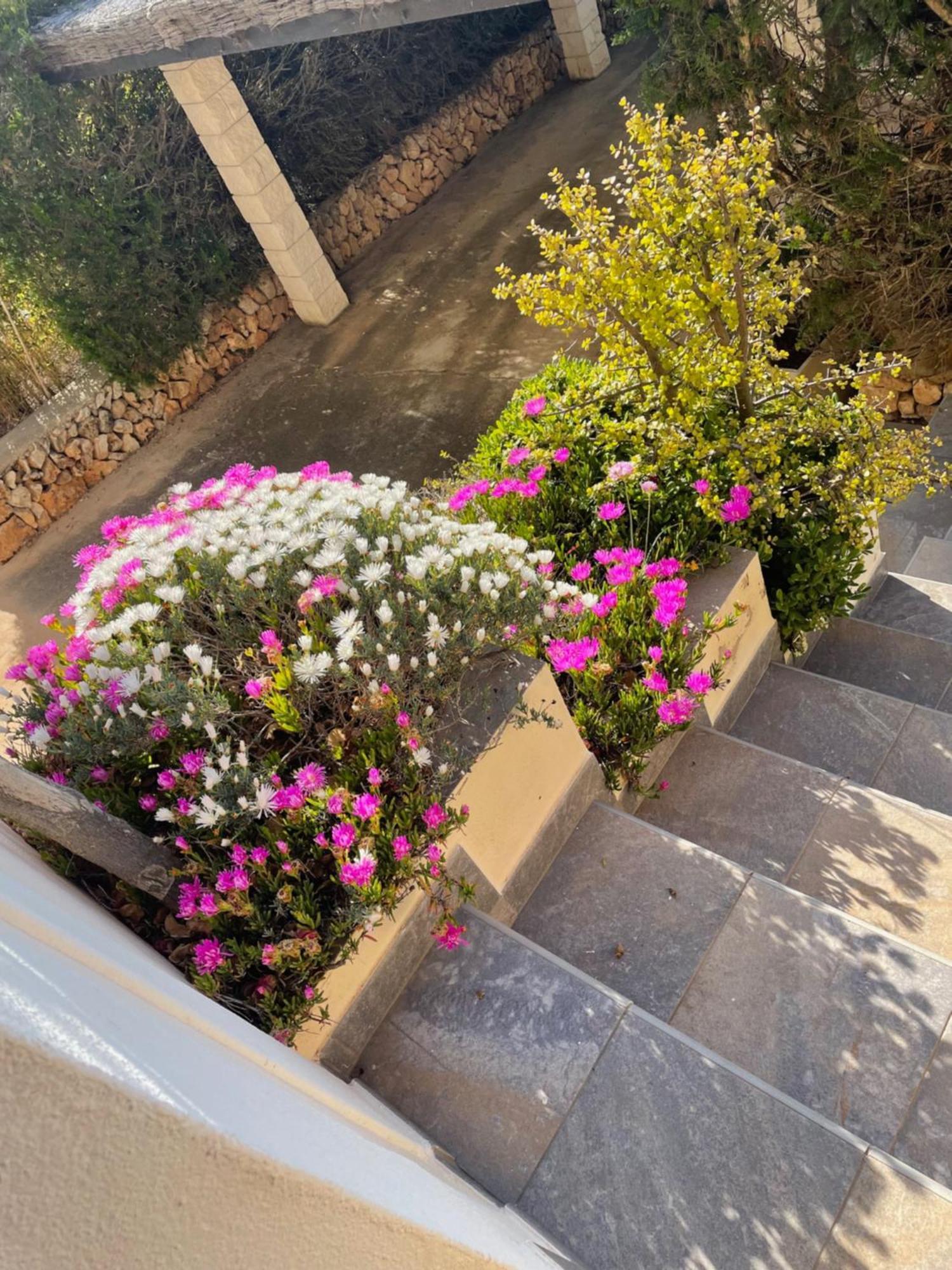 Villa Quatre Vents Punta Prima  Εξωτερικό φωτογραφία